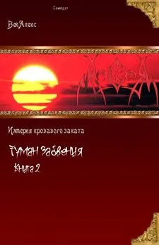 Алекс Вэй - Туман забвения. Книга вторая