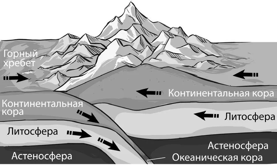 Литосферная плита крупный стабильный участок земной коры часть литосферы - фото 156