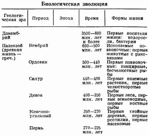 Человек занимает высшую ступень в эволюции животного мира Способность мыслить - фото 2