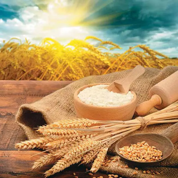 Пшеница важнейшая сельскохозяйственная культура По площади засева её объёмы - фото 80
