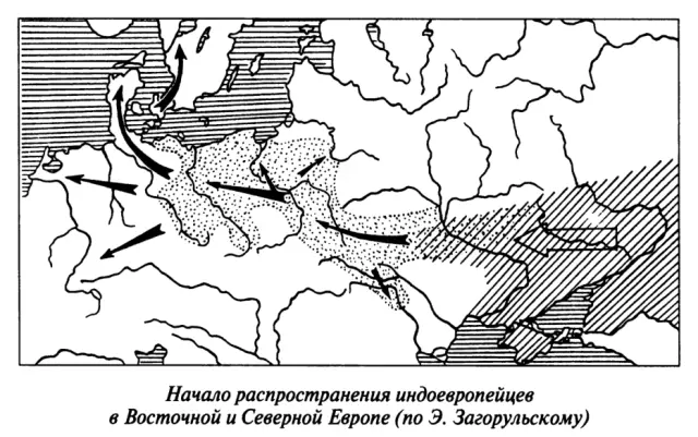 Все языки делят на большие семьи связанные общим происхождением В свою - фото 59