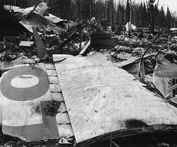 Обломки самолета потерпевшего катастрофу близ Междуреченска 22 марта 1994 г - фото 454
