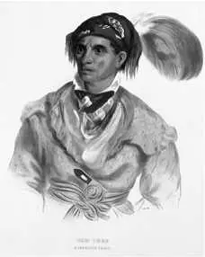 Вождь чероков ТахСи 1837 Дважды возникала война с индейским племенем - фото 356
