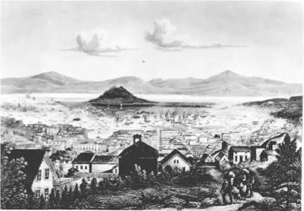 СанФранциско 1855 В Северной Америке шел процесс урбанизации росла - фото 358