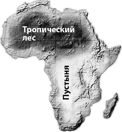 Сахара скорее всего переместится на юг Африки Пираньи из Амазонки - фото 180