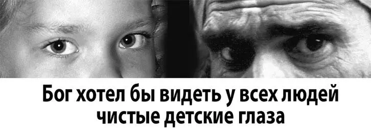 Почему мы любя животных относимся к ним как к детям Почему мы гладя кошку - фото 242