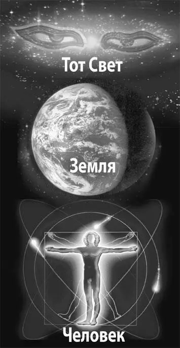 Земля как живое материальное существо имеющее свой Дух тоже стремится - фото 247