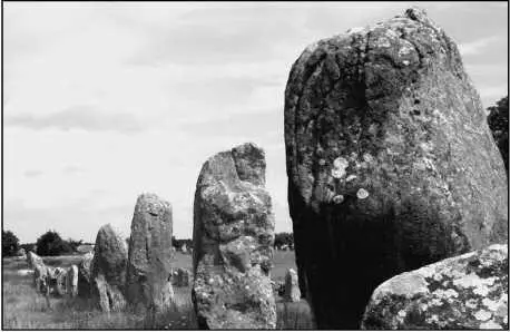 Каменные полчища Карнака Предположительно возведение подобных культовых - фото 35