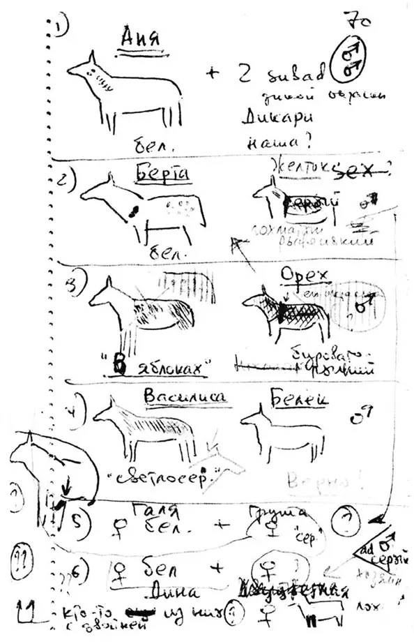 Первичный материал Осел домашний Equus asinus На участке обитания самца - фото 56