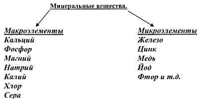 Макроэлементы Кальций Вместе с фосфором составляет основу костной и зубной - фото 268