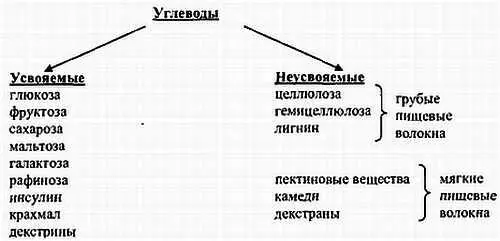 Легче всего усваивается фруктоза За ней по степени усвояемости следуют - фото 71