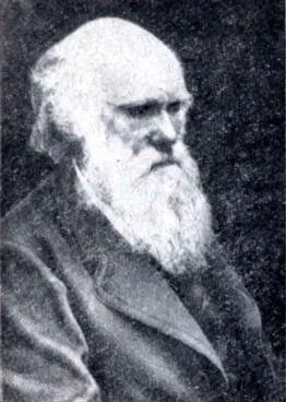Ч Дарвин Дарвин с юных лет полюбил природу В университете он слушал лекции - фото 2