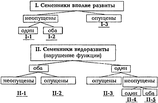 Рис 4 Варианты строения и положения семенников I1 односторонний крипторх - фото 5