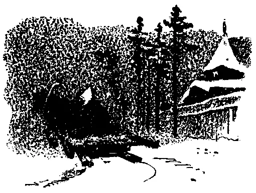 МОЧЕНЫЕ ЯБЛОКИ Гудит по лесу ветер гнет высокие сосны силится сломить их - фото 12
