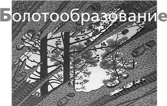 Когдато мне пришло в голову что один из неопознанных педагогических объектов - фото 83