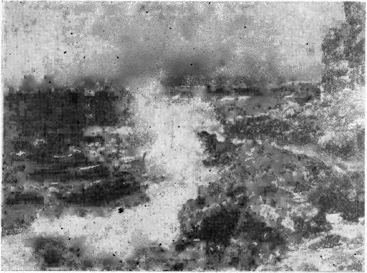 Рис 36 Скалы о которые разбиваются океанические волны населены хитонами и - фото 38