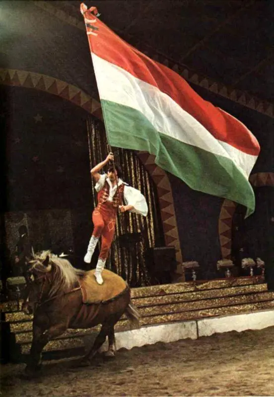 Рихтеры в Цирке Буглиона 1976 год В XIX столетии в работе - фото 125