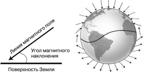 Рис 61Линии магнитного поля Земли и угол магнитного наклонения Этот угол - фото 20