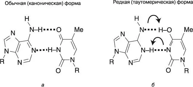 Рис 72Пары оснований A T а стандартный вид связи пары оснований A T с - фото 23