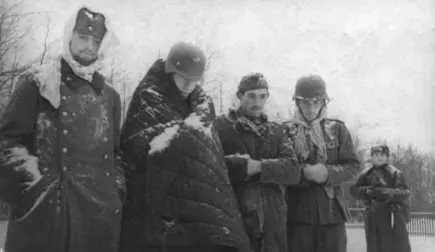 А им сказали что это будет легкая прогулка 3 Ручных пулеметов 53 шт 4 ППД - фото 34