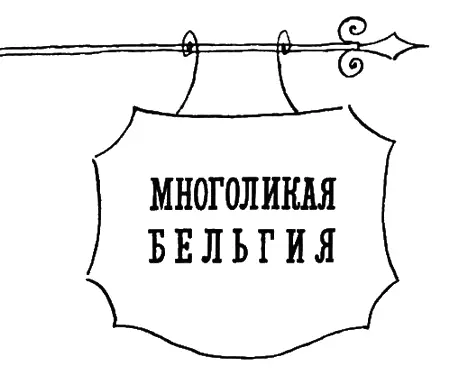У бельгийских друзей Я живу в Бельгии Точнее в ее столице Брюсселе на - фото 27