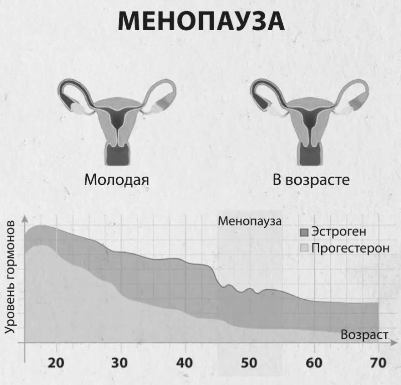 Чтобы было более понятно какие гормональные изменения происходят в - фото 500