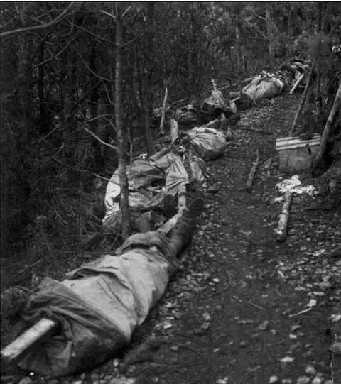 Дорога в 1й батальон 27го полка 8е наступление при Изонцо октябрь 1916 г - фото 17