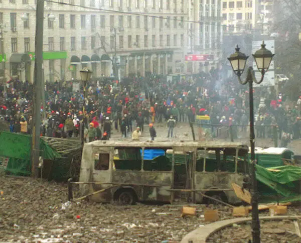 Последствия мирного митинга 20012014 Чистый воздух привезенный с Галичины - фото 18