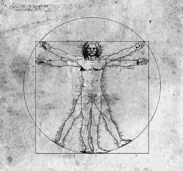 Леонардо да Винчи Витрувианский человек Мунин раскинул руки едва не - фото 7