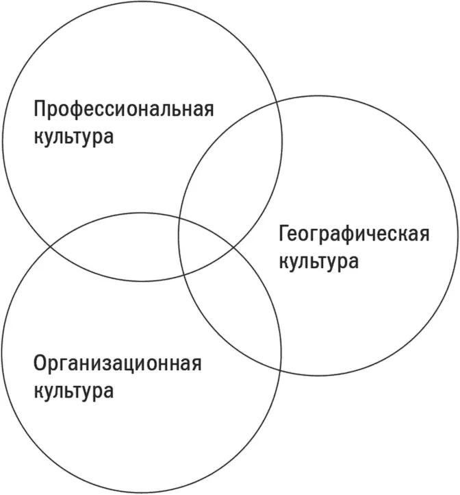 Рис 22Пересекающиеся области культур Адаптация или модификация После того - фото 8