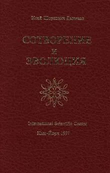 Исай Давыдов - Сотворение и эволюция