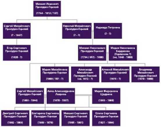 Генеалогическое древо рода С М ПрокудинаГорского от прадеда до детей - фото 2