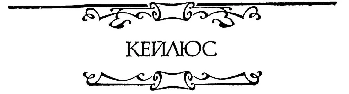 КЕЙЛЮС ИСТОРИЯ ГЖИ АЛЛЕН И ГНА АББАТА ЭВРАРА Перевод Н Рыковой Я поступил - фото 7