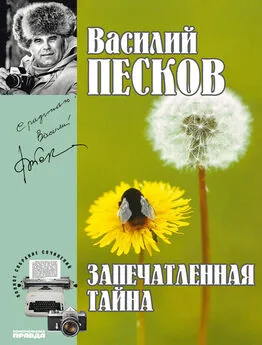 Василий Песков - Полное собрание сочинений. Том 13. Запечатленная тайна