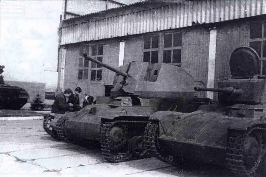 Легкий танк Толди IIА и САУ Нимрод перед одним из павильонов - фото 50