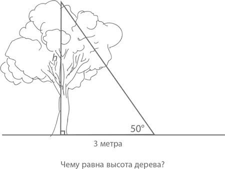 Магия математики Как найти x и зачем это нужно - изображение 365