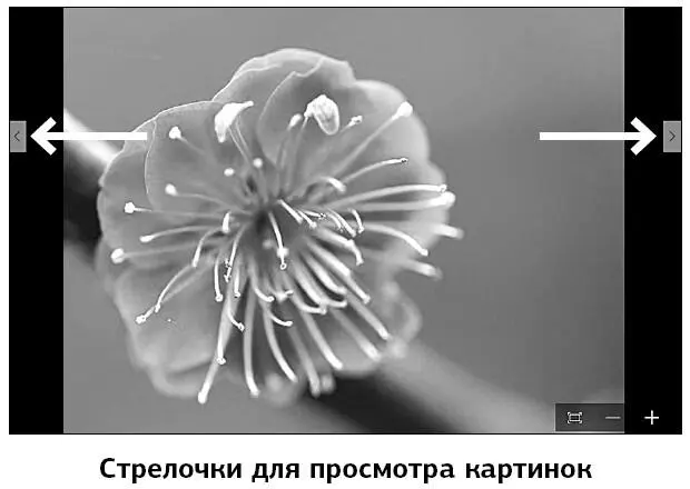В колонке в левой части окна в меню раздела Фотографии вы найдете функции - фото 144