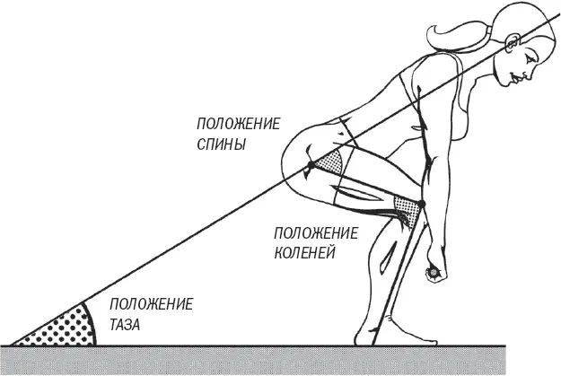 Теперь вы готовы к тяге Движения при выполнении становой тяги Как можно - фото 41