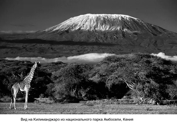На вершину Килиманджаро Килиманджаро одна из красивейших гор в мире - фото 1