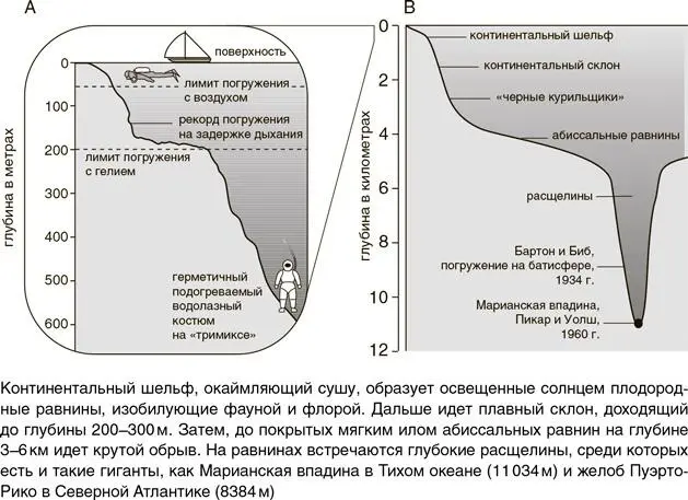 Самое глубокое место на Земле Марианская впадина в Тихом океане глубина - фото 23