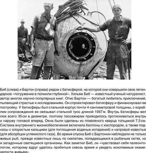 Интересный факт описание Биба скорее всего прочел Томас Манн и включил в - фото 34