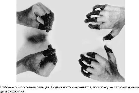 Берди Генри Робертсон Бауэрс участник последней злосчастной экспедиции - фото 57