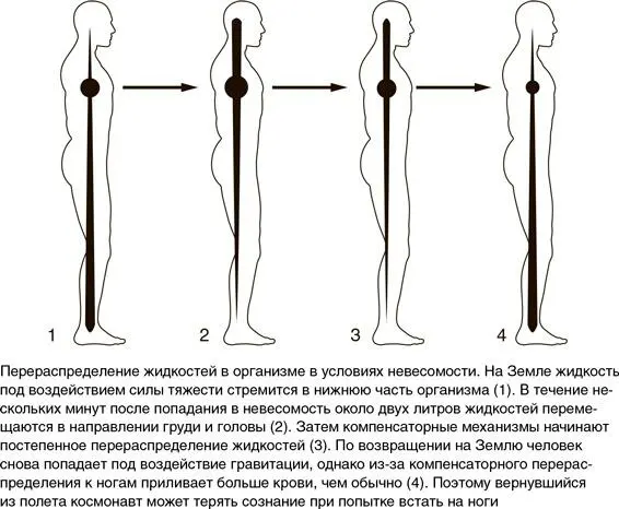 Инфекция В каждом из нас живут миллионы микроорганизмов сопровождающие нас - фото 78