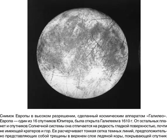 В самой сердцевине ALH84001 ученые обнаружили неправильной формы образования - фото 96
