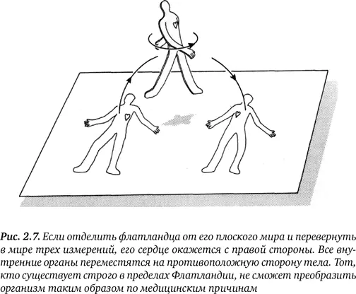 Продолжая рассматривать Флатландию мы убедимся что здесь мы всемогущи Даже - фото 9