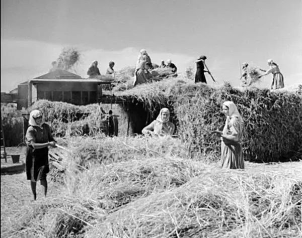 СССР Украина 1947 Сбор пшеницы в колхозе им Шевченко Мы вышли к пшеничному - фото 27
