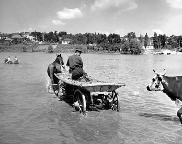 СССР Украина 1947 Сбор пшеницы в колхозе им Шевченко Мы зашли в амбар где - фото 28
