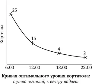 Если стрессовая реакция становится постоянной кортизол начинает действовать на - фото 7