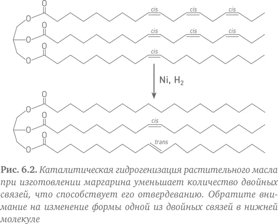 Изобретение гидрогенизации означало что заменители сливочного масла можно - фото 12