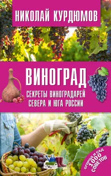 Николай Курдюмов - Виноград. Секреты виноградарей севера и юга России